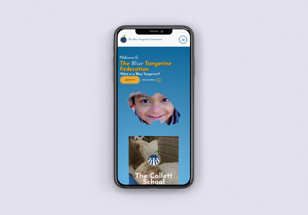 Blue Tangerine website on an iPhone